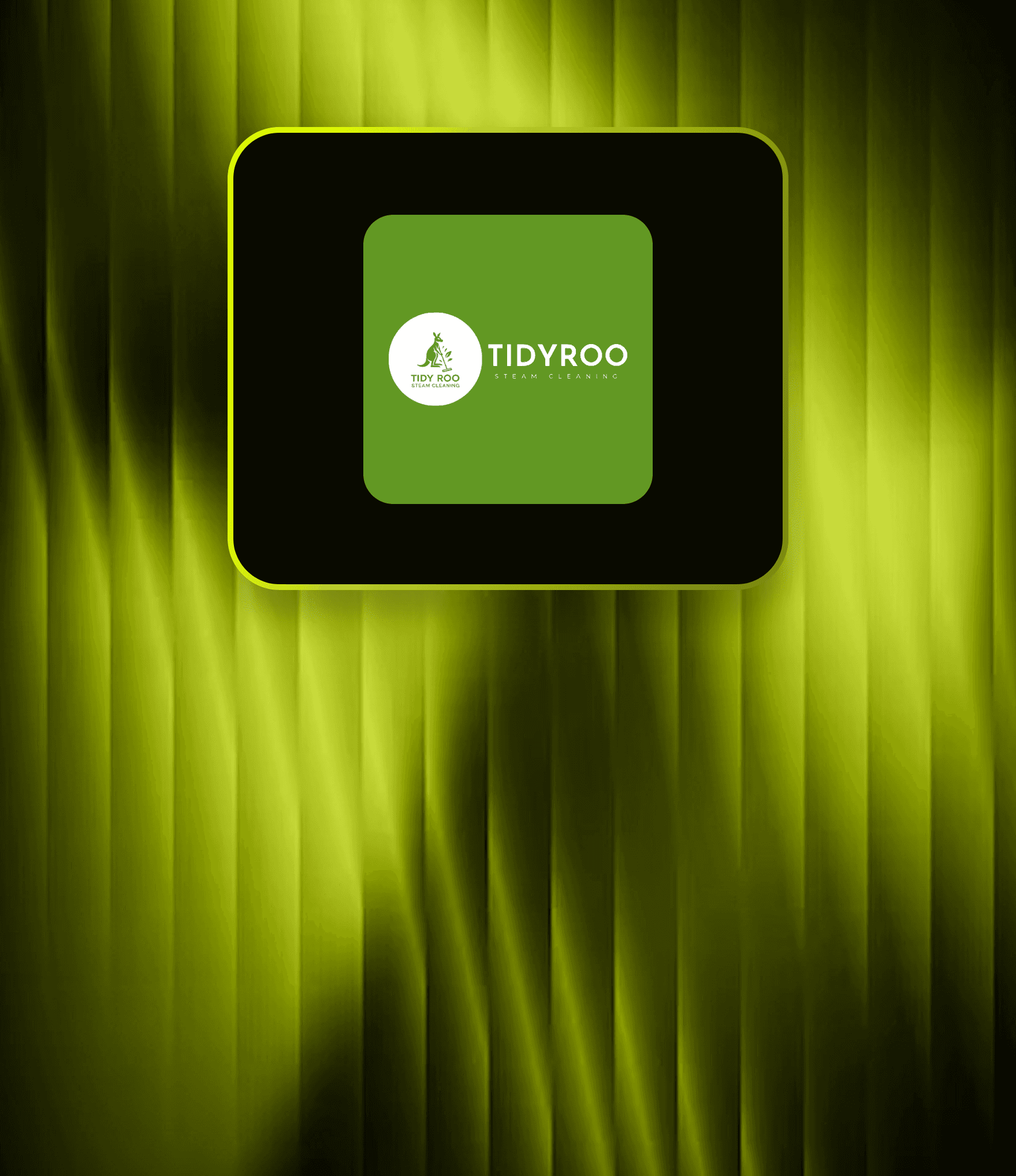 TidyRoo Cleaning Service